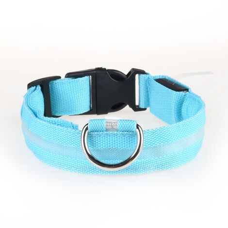 Collier LED rechargeable par USB pour chien de compagnie, clignotant, lumineux, sécurité, lumière en nylon (1/4)