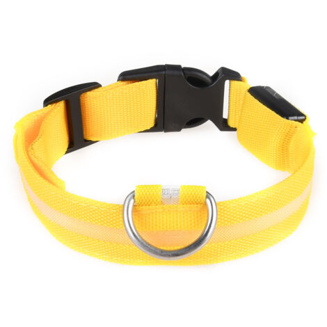 Collier LED rechargeable par USB pour chien de compagnie, clignotant, lumineux, sécurité, lumière en nylon (1/4)