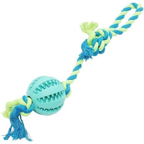 Balle de dressage de chien en caoutchouc de sécurité pour chien, chat, chien, jouet de nettoyage des dents (1/4)