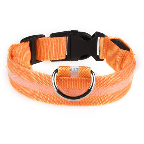 Collier LED rechargeable par USB pour chien de compagnie, clignotant, lumineux, sécurité, lumière en nylon (1/4)