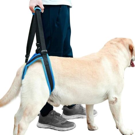 Harnais De Soutien pour Chien, Confortable Et Respirant Harnais De Soutien Avant Et Arrière Chien De 2 Types, Utilisé Les Chiens Rééducation De Petite Et Grande Récupération pour Chiens agés (M)-Fei Y (1/4)