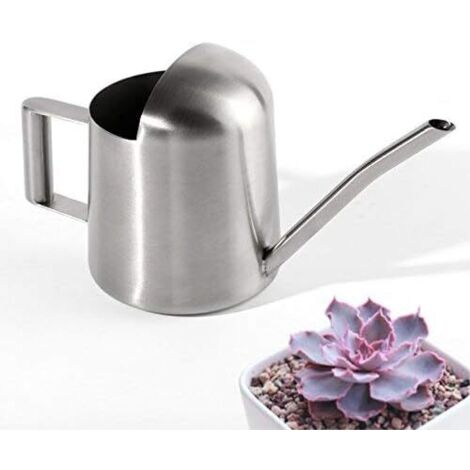 Mini Arrosoir de Jardin en Acier Inoxydable pour la Maison et Bureau Plantes-Fei Yu (1/5)