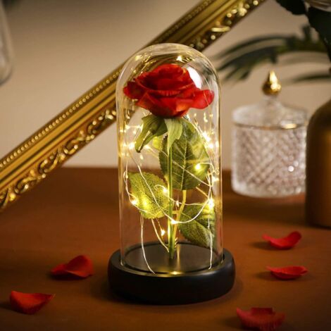 Naturelle Rose Eternelle sous Cloche, La Belle et La Bete avec des lumières LED Fleurs éternelles Cadeau pour Femmes et Filles (Rose en Soie/Base Noire)-Fei Yu