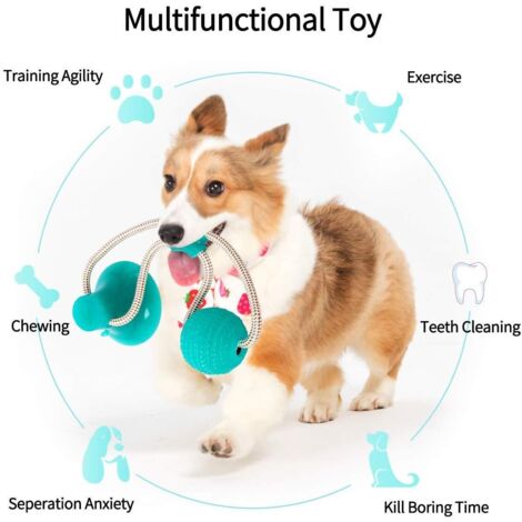 Multifunction Pet Molar Bite Toy, Jouet de Morsure d'animal familier Multifonctionnel, Jouets à macher d'animal familier interactif de Jouet de Chien d'animal familier de Jouet (Green)-Fei Yu (1/3)