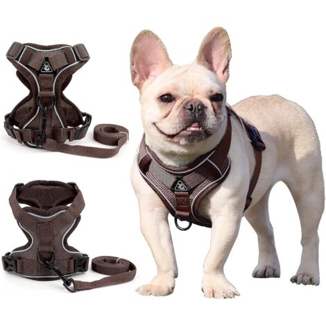Harnais pour chien de petite et moyenne taille (marron M)-Fei Yu