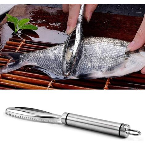 Décapant d'écailles de Poisson, Acier Inoxydable Poisson échelle Grattoir Cuisine Fruits De Mer Poissons Skinner Grattoir Nettoyant pour échelles Rapides Peeling-Fei Yu (1/5)