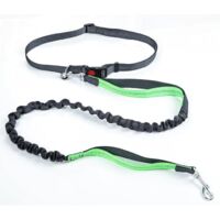 Laisse pour chien avec ceinture réglable, laisse de course et de jogging pour chien