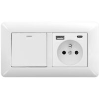 Interruptor de Pared + Enchufe USB + USB-C – Dúo Moderno para Renovación