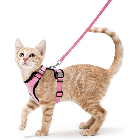 Harnais avec laisse pour chats, Harnais et laisse pour chats, Harnais réglable pour chatons, Collier harnais pour chats, Gilet respirant, Pour chat européen, chat persan (Rose, S)