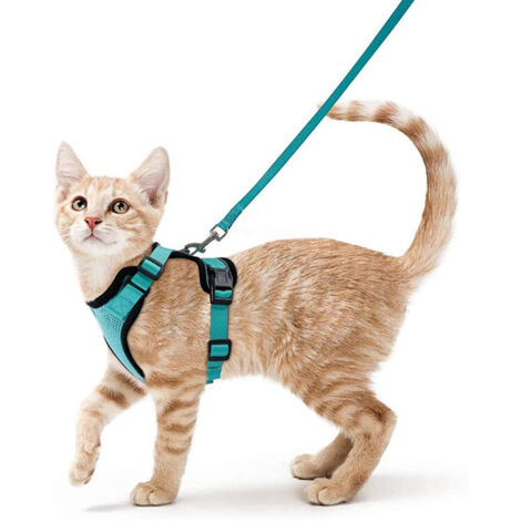 Harnais avec laisse pour chats, Harnais et laisse pour chats, Harnais réglable pour chatons, Collier harnais pour chats, Gilet respirant, Pour chat européen, chat persan (vert, XS)