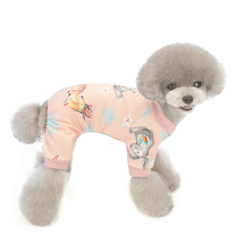 Vêtements pour animaux de compagnie Vêtements pour chiens d'automne et d'hiver Vêtements pour chiens(S) (1/5)