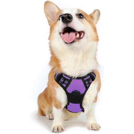 Harnais Chien M Arnais Violet Anti Traction Réfléchissant Gilet Réglable pour Chien Grand Taille, Attache Devant Crochet de Laisse pour Randonné Trajet Voiture, American Staff, Border Collie-Ensoleill