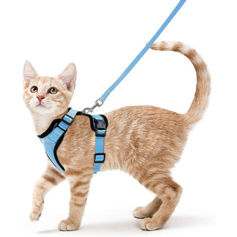 Harnais avec laisse pour chats, Harnais et laisse pour chats, Harnais réglable pour chatons, Collier harnais pour chats, Gilet respirant, Pour chat européen, chat persan (bleu ciel, S)