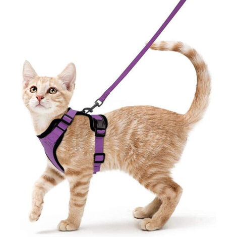 Harnais avec laisse pour chats, Harnais et laisse pour chats, Harnais réglable pour chatons, Collier harnais pour chats, Gilet respirant, Pour chat européen, chat persan (violet, XS)