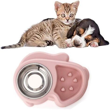 Gamelle Double de Ecuelle Eau et Nourriture 1 Bols en INOX et 1 Gamelle Anti Glouton pour Chat et Petit Chien-Ensoleillé (1/5)