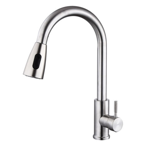 Robinet de Cuisine Extractible en Acier Brossé 201 avec Deux Jets et Flexible Inclus (1/5)