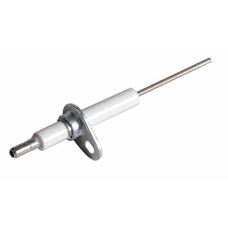 Fröling Electrode d'ionisation
