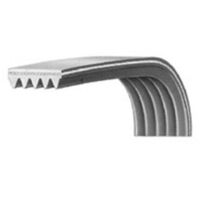Courroie 1195J5 14000223101/1 pour Lave linge AEG, CONTINENTAL EDISON, ELECTROLUX, ESSENTIEL B, FAURE, LISTO, SELECLINE, ZANUSSI , LAVE LINGE TOP ESSENTIELB ELT612-5B, LAVE LINGE TOP ESSENTIELB ELT612