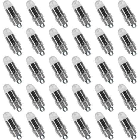 30PCS LED Ballons Lampes Lumineuses Blanc froid pour Lanterne Papier Décoration Mariage, Fête [Classe énergétique A+] (1/5)