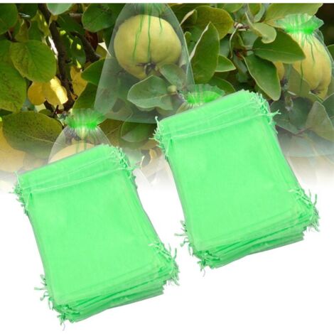 100 Sacs Filets de Protection pour Fruits – Réutilisables, Barrière en Maille Verte pour Plantes, Fleurs et Arbres Fruitiers, 7 x 9 cm,de DEBUNS (1/5)
