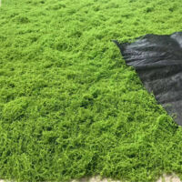 LEDANDER Muschio, Verde Chiaro, Muschio Artificiale dall'Aspetto Naturale — Ideale per Lavoretti, Decorazioni Pasquali e Natalizie — 100 x 100 cm