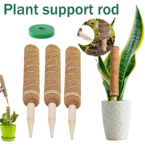 3-Piece Extendable Support for Climbing Plants, Potted Moss, Monstera Creepers, 50cm, Garden Supplies, 50cm (1/5)
