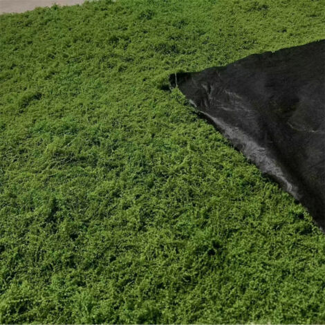 LEDANDER Artificial White Moss Filaments, Artificial Woolly Moss Lawn, Fake Moss Landscaping, Dark Green - 100x100CM (1/5)