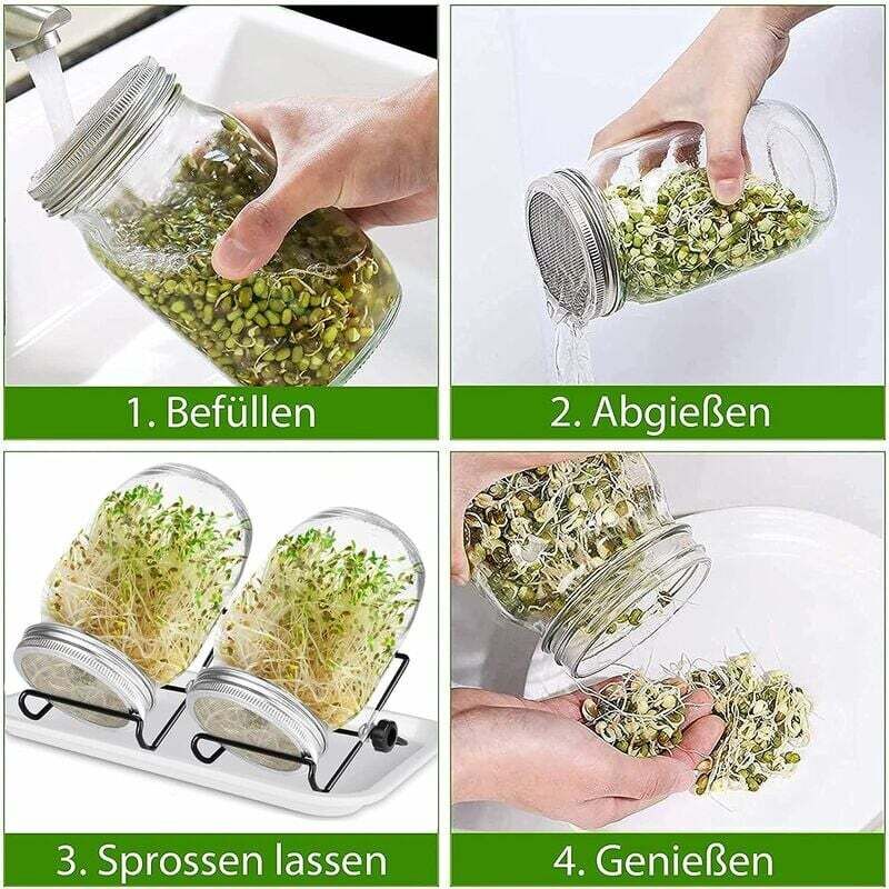 Kit 3 Pots à Germer En Verre Bio + Graines – Microgreens Luzerne, Haricot Mungo, Radis, Fabriqué En Allemagne, Facile Et Sain