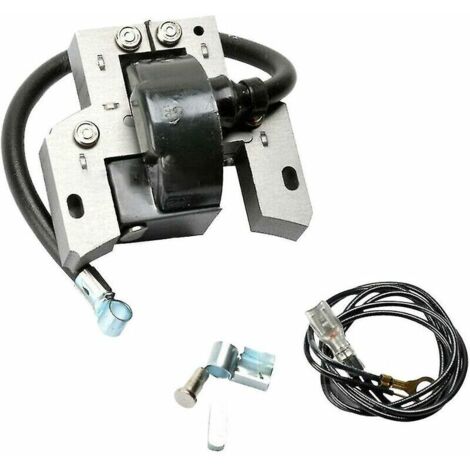 Bobine d'allumage pour Briggs Stratton 591420 398593 496914 793281 – Compatible 2HP-4HP – Installation facile – Matériau ABS noir