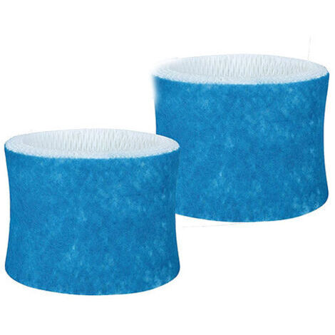 Filtres de rechange pour filtres absorbants compatibles avec Honeywell HC-888, HC-888N, filtre C (lot de 2) (1/5)