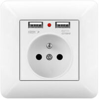 Presa a Muro con Doppia USB e LED 16A 240V – Presa Incasso