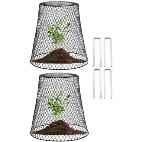 2 Pièces Cloche de Jardin, Cloche de Jardin en Fil de Fer, Cage de Protection des Plantes, Avec 10 clous en forme de U,Noir (1/4)