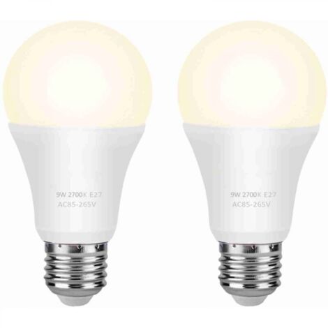 Ampoule néon LED, économie d'énergie, polyvalente, peut être utilisée dans les garages, les jardins, les cours (1/5)