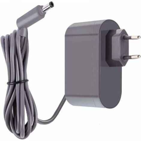 Accessoires pour aspirateur, chargeur de batterie de rechange pour Dyson V6 V7 V8 DC58 DC59 DC61 DC62 SV03 SV04 SV05 SV06, tête de moteur, non pelucheux, Absolute Animal Feed (1/5)