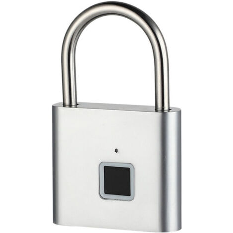 Cadenas intelligent à empreinte digitale, cadenas d'extérieur étanche et antirouille, cadenas électronique intelligent, porte principale, antivol, verrouillage par mot de passe, armoire argentée