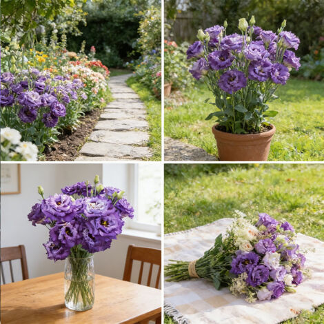 1000 Semi di Lisianthus Blu Ondulato – Eustoma a Fiori Doppi Frastagliati, Varietà Originale per Balcone e Giardino