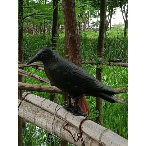 Schwarze Plastikkrähe, Vogelabwehrmittel, Taubenverscheuchung und Bi (1/5)