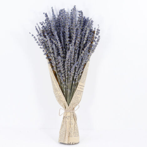 1 Stück getrockneter Lavendel, natürlicher Lavendelblütenstrauß, Stiele 43 cm (1/4)