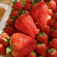 Strawberry Seeds, 200 Seeds, Fruit & Vegetable Seeds for Balcony Growing, Easy to Grow, Ideal for Container Gardening & Home Garden