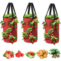 3 Pack Upside Down Hanging Planters for Strawberries & Tomatoes, Durable Breathable Grow Bags, Ideal for Balcony, Patio, Pergola – Vertical Gardening, No Soil Contact