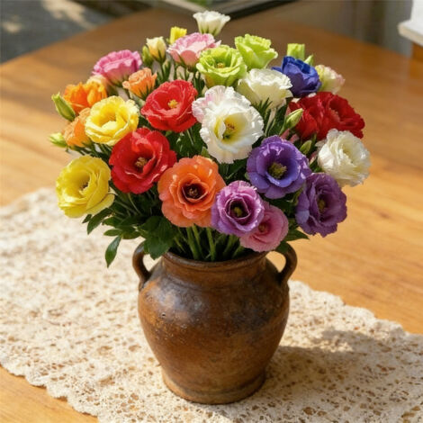 3000 Semillas de Lisianthus Dobles – Flores Elegantes No-OGM, Mezcla de Colores para Jardín, Maceta y Exterior