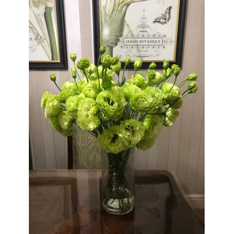 5000 semillas de lisianthus verde – Variedad original, fácil de cultivar, para jardín y macetas decorativas (1/5)