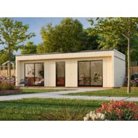 Abri de jardin en bois Johanna 31,8 m2 Naturel