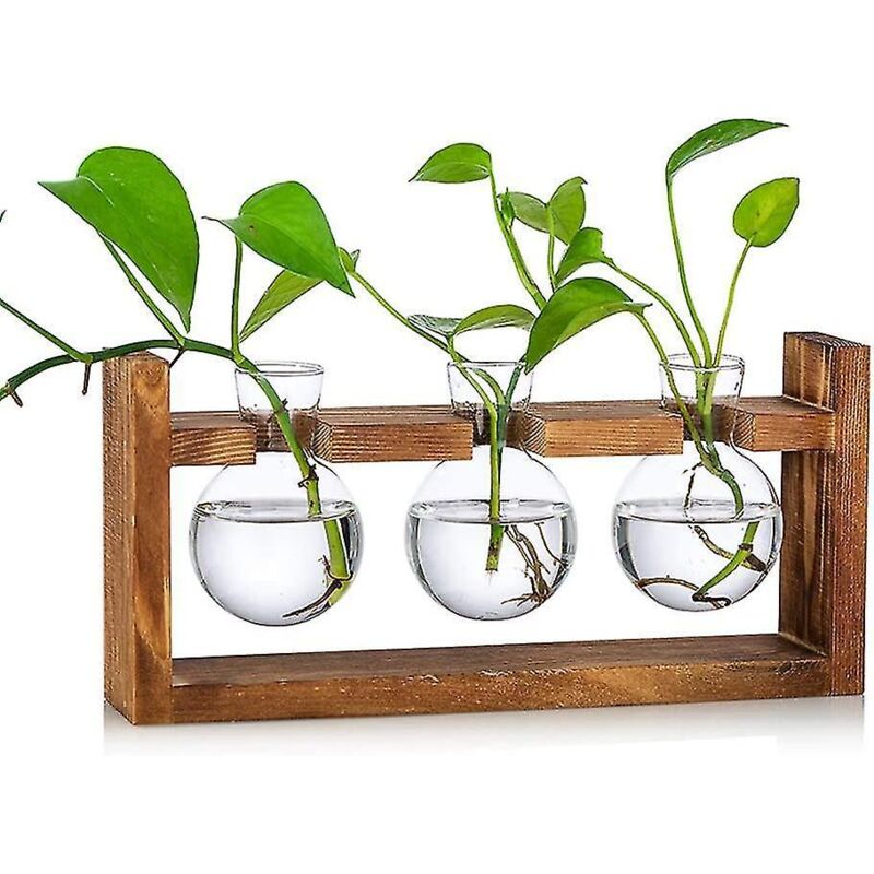Vase En Verre Transparent En Cristal - Vase Décoratif À Fleurs - Pot À Plantes Florales - Pour