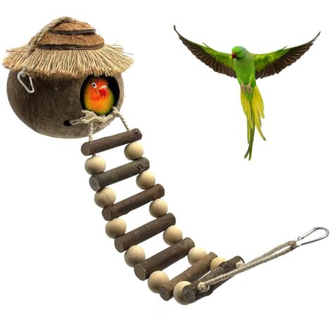 Nichoir à oiseaux naturel en noix de coco avec échelle pour perroquets, moineaux et petits animaux – Nid de coquille de noix de coco pour jardin ou intérieur (1/5)