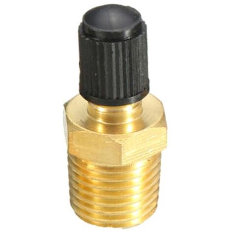 1/4" Npt Tank Valve Anti-corrosion Brass Schrader Valve With 1/4" Male Npt