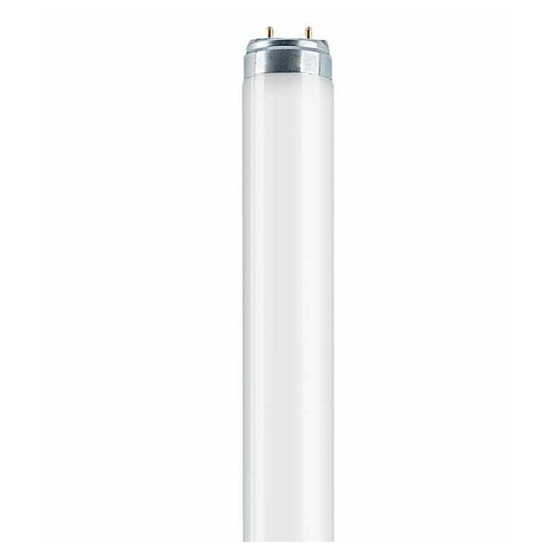 Starter 640 U-Lampe Neon Osram L 58 W/640 U Cool White x949 CE 58w/640U 58w 