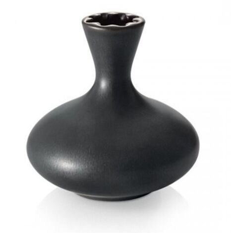 Diffusore Essenza Oasis Nero Ml 250 Fancy Tescoma (1/4)