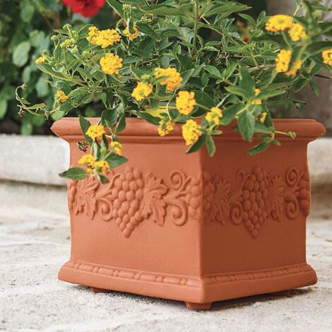 Vaso in Polimero Monacis Quadro Uva Terracotta cm 25 (23X23X20h)