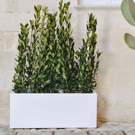 Fioriera Matera Bianco in Polimero Monacis - Cm 100X40X40 H